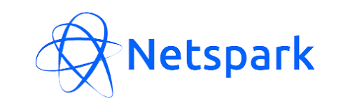 NetSpark Logo